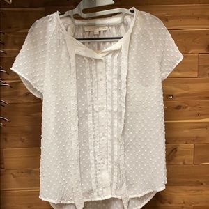 Loft NWT sheer white blouse Small Petite